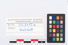 Etikett zu Schneckengehäuse (NHMW-PRAE-003415a)